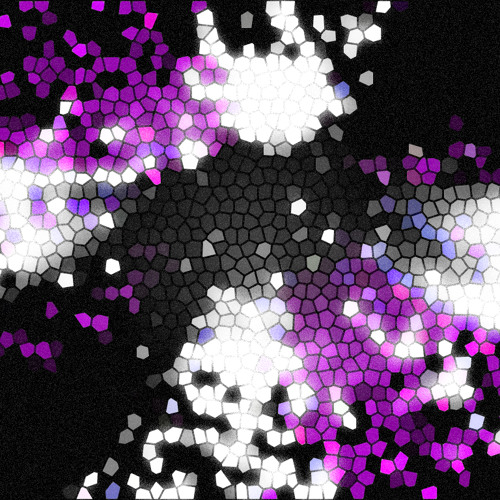 New Circle Of Light