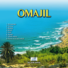 whid musique instrumentale omajil 2014