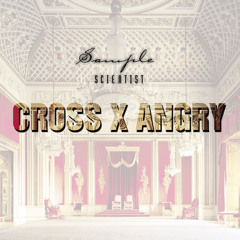 CROSS  X  ANGRY