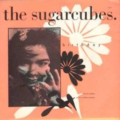 The Sugarcubes - Birthday (Cover)