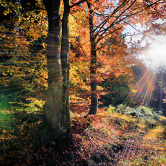 AxsiL - Klangfarben Nr. 2 (Promotape)