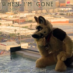 When I'm Gone (cup song)
