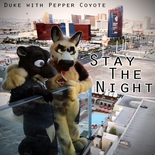 Stay The Night
