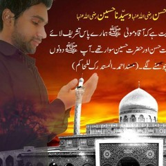 Ali Shanawar - Maula Madiney Waley - 2014