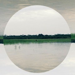 From the jungle , an improvised acoustic tune in memory of Zbigniew Karkowski