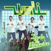 Wali Band - Ada Gajah Dibalik Batu Free MP3 Downloads