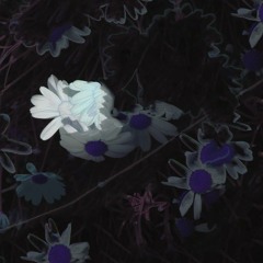 GHOST COLOURS - AQUASCAPE (FREE D/L)