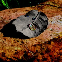 Memories (free download)