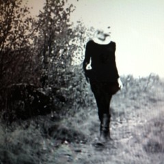 the alley    (+video)