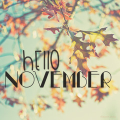November Discovery #VOL XI {2014}