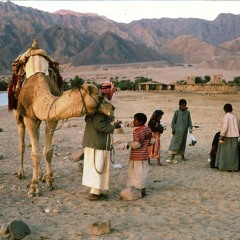 ربى عالم - إهداء إلى البدو وأهالينا في سيناء الكرامة
