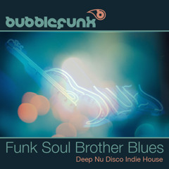 Funk Soul Brother Blues DJ Mix | Nu Disco Indie Dance Deep House