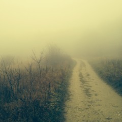 Skviry&spoj /P. Vrba, M. Matejka, J. Krupa/ Ostrava Hearme Festival Live