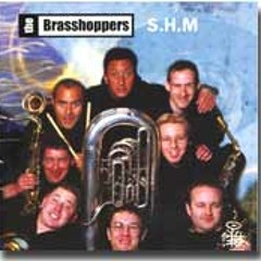 S.H.M (Simple Harmonic Motion)