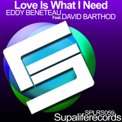 Eddy Beneteau - Love Is What I Need Feat. David Barthod (Original)