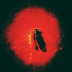 Demons (Prod. By Iom Chente)