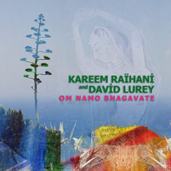 Om Namo Bhagavate - Kareem Raïhani & David Lurey
