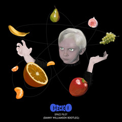 Geck - O - Space Pilot (Danny Williamson Bootleg)