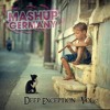 Mashup-Germany - Deep Exception - Vol. 2