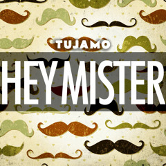 Tujamo - Hey Mister (FRIKT Mashup)
