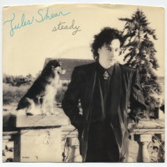 Jules Shear - Steady