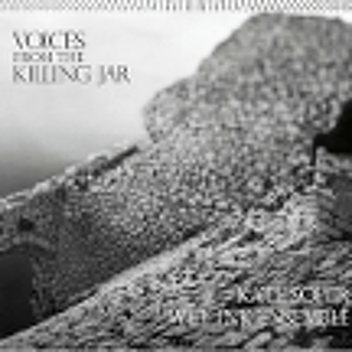 Voices from the Killing Jar