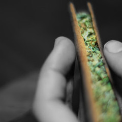 Hollyboy Feat. Puto G - Roll Up