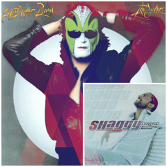 DJ Naryan - The Joker / Angel - Steve Miller Band Vs. Shaggy