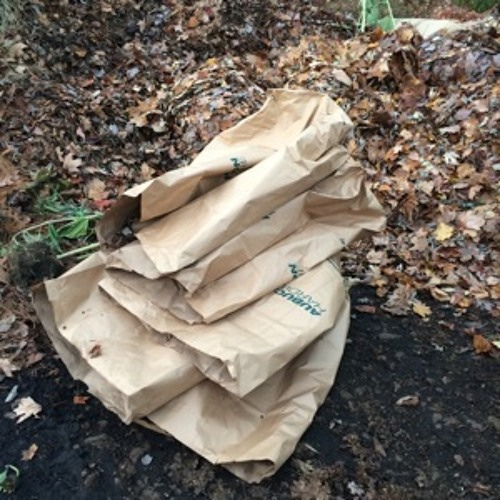 disposable leaf bags