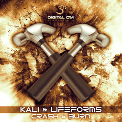 Kali & Lifeforms - Crash & Burn EP Minimix [Digital Om Production]