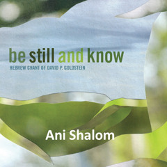 Ani Shalom
