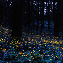 WIP - Piano Composition 1