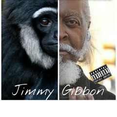 Jimmy Gibbon