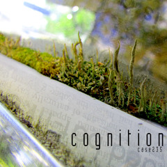 cognition