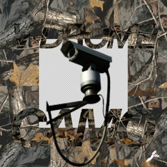 V-Drome - Goldwood