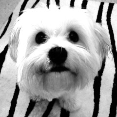 Melle mel vs SOS band mash