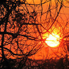 Philth & Prozac- Life stops 4 no 1