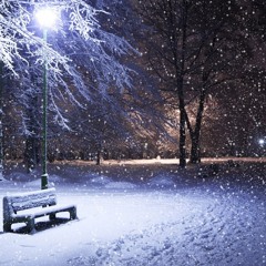 Snowfall at Twilight