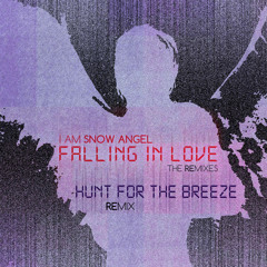 FALLING IN LOVE (feat. John Carlson)[Hunt For The Breeze Remix]