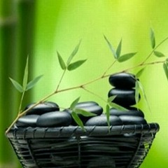 Đàn tranh. TRÚC ĐÀO
