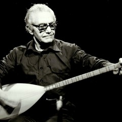 Ruhi Su - Derdim Çoktur (1972)