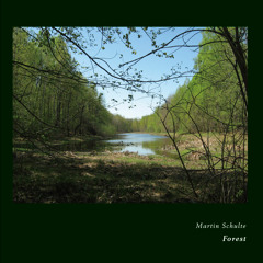 lant016 - martin schulte - forest (cd, album) [preview]_out now