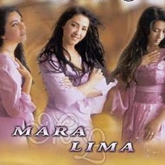 HERÓI SEM MEDALHA - Mara Lima