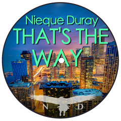 That's The Way (N.D. Remix) FREE DOWNLOAD