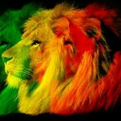 400 Years - FJ.Junior