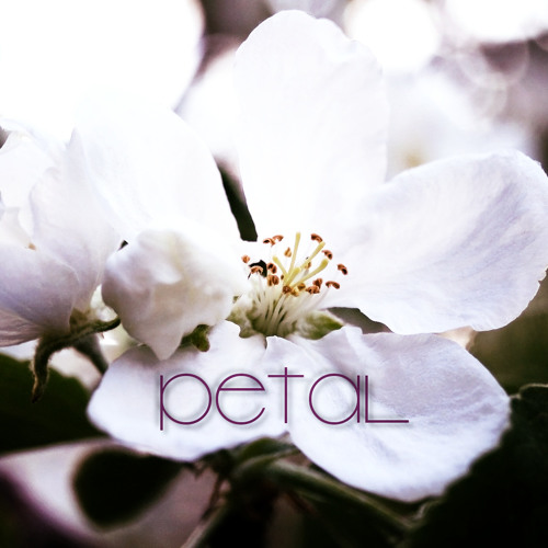 Petal