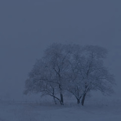 Snow capped mountains above the clouds