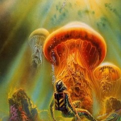 Medicinmannen - Afterglow Jam