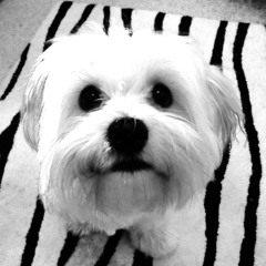 Dennis Edwards vs Eric  b & Rakim  Tabasco mashup