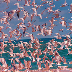 No Soy Tuya Ni De Nadie / KarenGMatiD